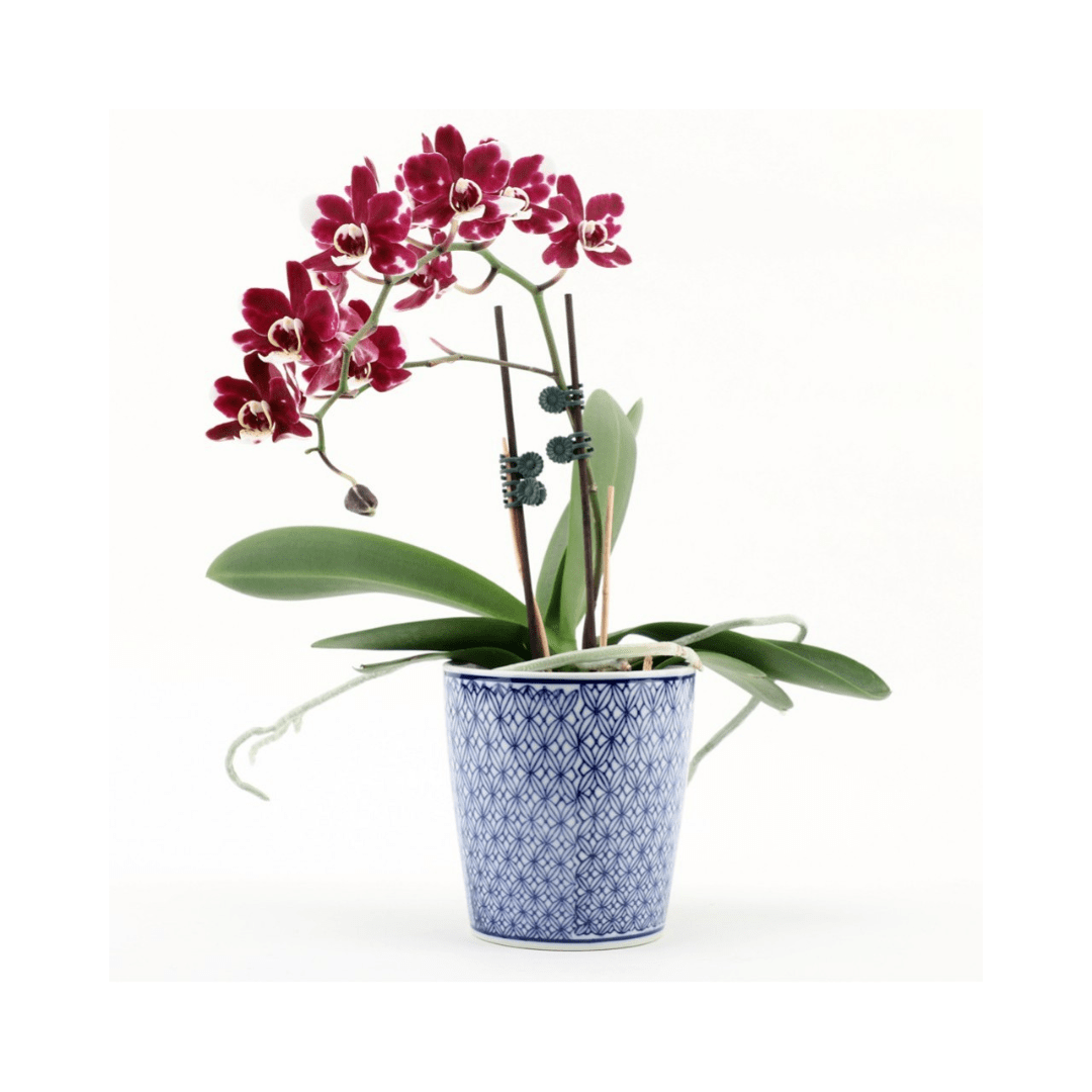 Danny's Fine Porcelain Pot Porcelain Flower Pot (Min 4)